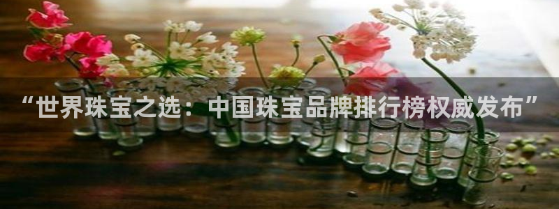 新宝5手机平台登陆