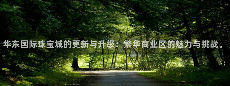 新宝5app：华东国际珠宝城的更新与升级：繁华商业区的魅力与挑战。