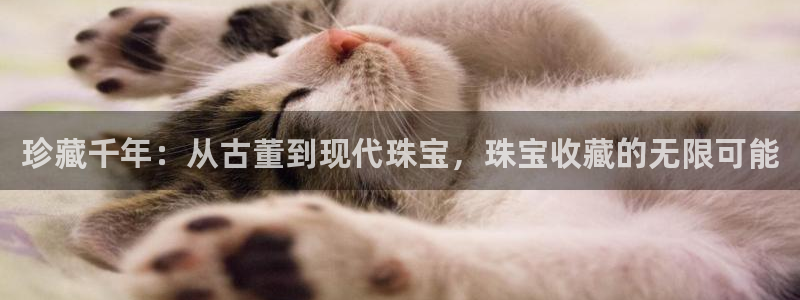 新宝5挂机：珍藏千年：从古董到现代珠宝，珠宝收藏的无限可能