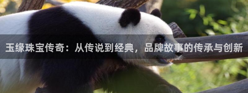 新宝5巅峰：玉缘珠宝传奇：从传说到经典，品牌故事的传承与创新