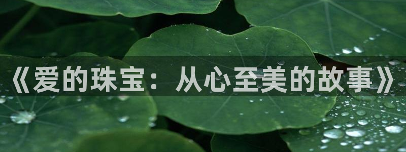 新宝5登录入口网址：《爱的珠宝：从心至美的故事》