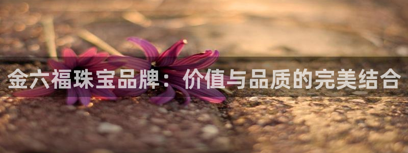 新宝5下载 迅雷下载：金六福珠宝品牌：价值与品质的完美结合