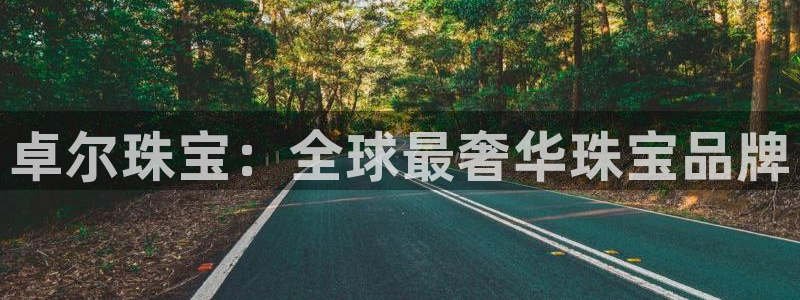 i新宝5：卓尔珠宝：全球最奢华珠宝品牌