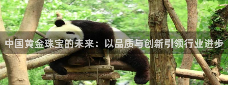 新宝5娱乐如：中国黄金珠宝的未来：以品质与创新引领行业进步