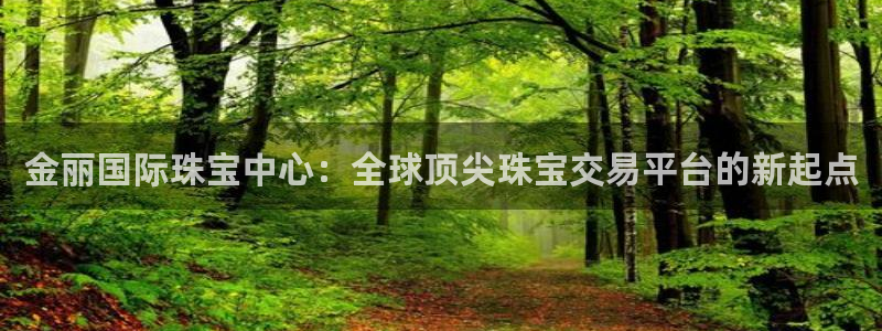 新5宝：金丽国际珠宝中心：全球顶尖珠宝交易平台的新起点