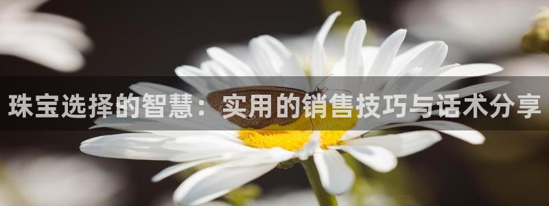 新宝5系列：珠宝选择的智慧：实用的销售技巧与话术分享
