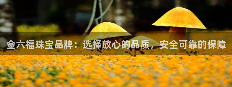 新宝5测速线路：金六福珠宝品牌：选择放心的品质，安全可靠的保障