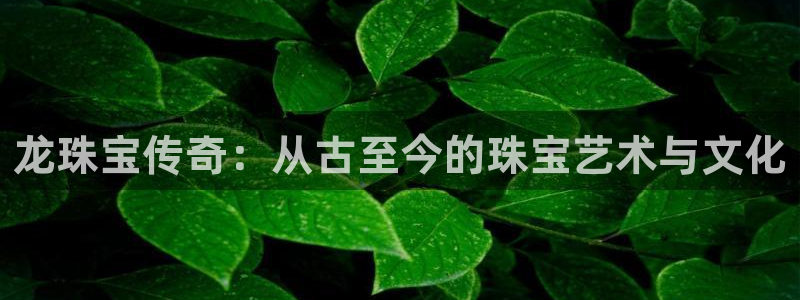 新5宝：龙珠宝传奇：从古至今的珠宝艺术与文化