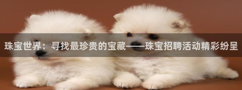 新宝5下载测试：珠宝世界：寻找最珍贵的宝藏——珠宝招聘活动精彩纷呈