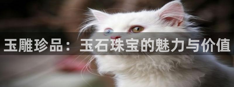 新宝5玩法：玉雕珍品：玉石珠宝的魅力与价值