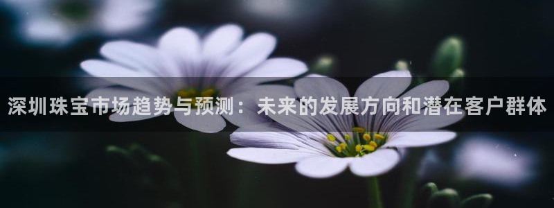 新宝5测：深圳珠宝市场趋势与预测：未来的发展方向和潜在客户群体