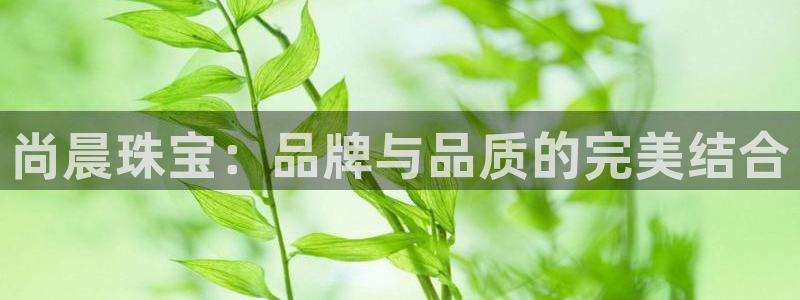 新宝5地址：尚晨珠宝：品牌与品质的完美结合
