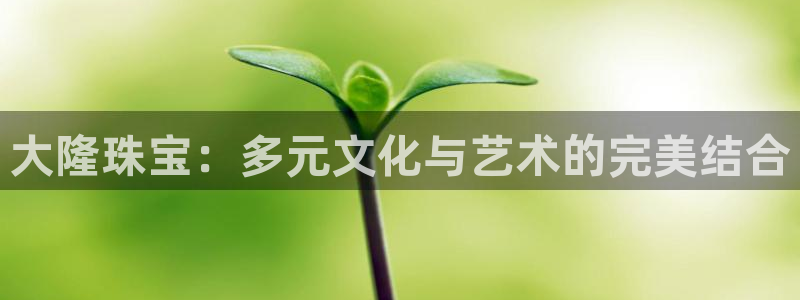 新宝5X：大隆珠宝：多元文化与艺术的完美结合