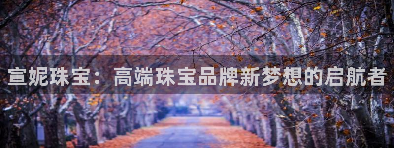 股票5G宝新：宣妮珠宝：高端珠宝品牌新梦想的启航者