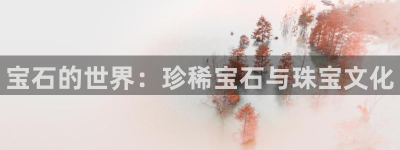 新宝股东王听2 5 5：宝石的世界：珍稀宝石与珠宝文化