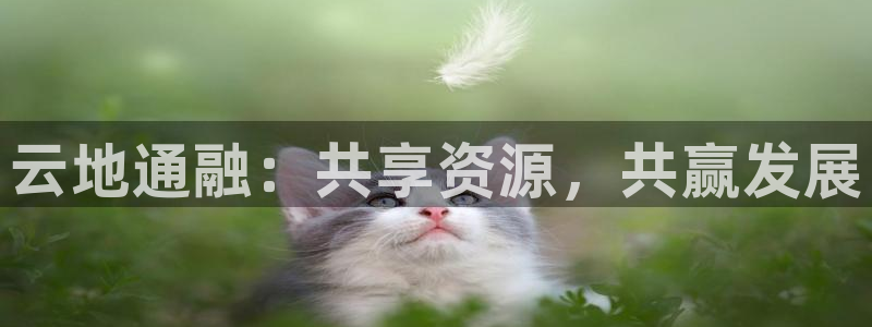 老新宝5授权登录：云地通融：共享资源，共赢发展