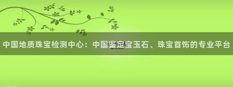 新宝5平台：中国地质珠宝检测中心：中国鉴定宝玉石、珠宝首饰的专业平台