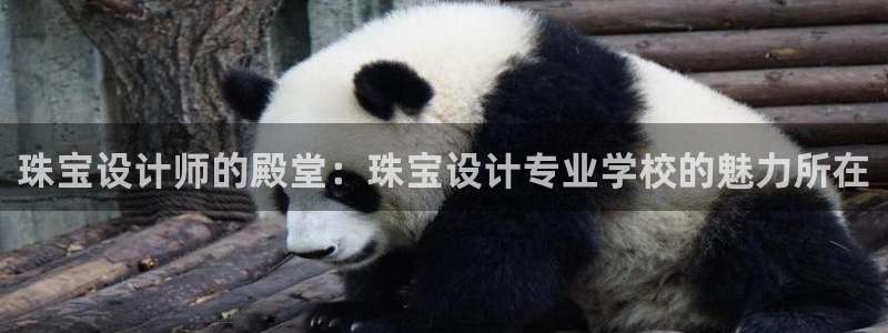 新宝5飞355051：珠宝设计师的殿堂：珠宝设计专业学校的魅力所在