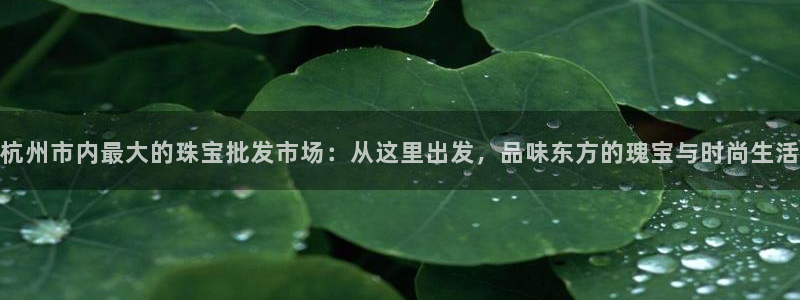 新宝5X：杭州市内最大的珠宝批发市场：从这里出发，品味东方的瑰宝与时尚生活