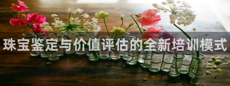 新宝5浗维33 300：珠宝鉴定与价值评估的全新培训模式