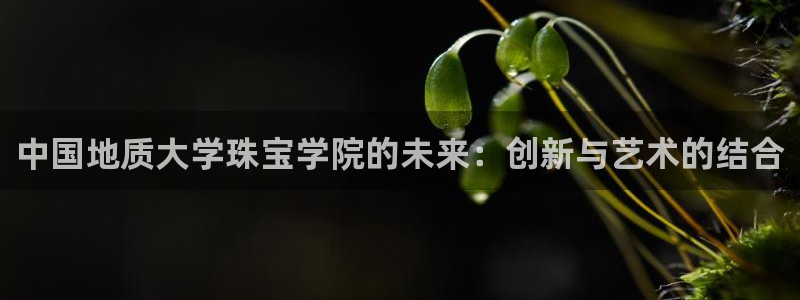 新宝5测速：中国地质大学珠宝学院的未来：创新与艺术的结合