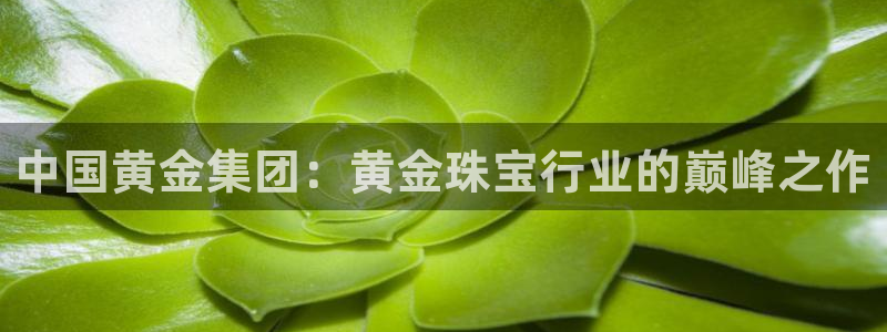 新宝5手机登录：中国黄金集团：黄金珠宝行业的巅峰之作
