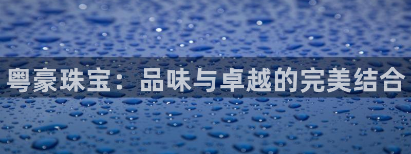 新宝5官方网站：粤豪珠宝：品味与卓越的完美结合