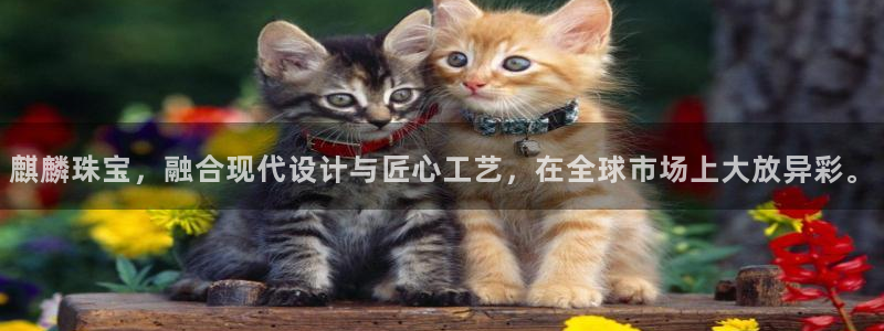 新宝5线路登录：麒麟珠宝，融合现代设计与匠心工艺，在全球市场上大放异彩。