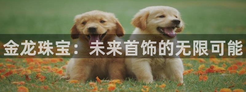 新宝3得74OO5：金龙珠宝：未来首饰的无限可能