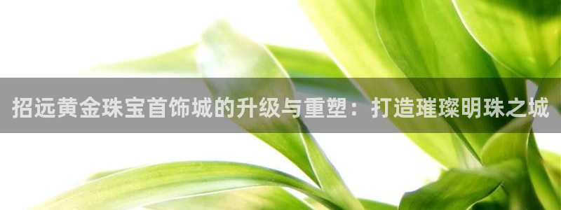新宝5手机平台登陆：招远黄金珠宝首饰城的升级与重塑：打造璀璨明珠之城