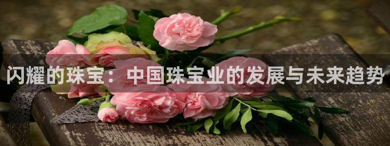 新宝5浗维33 300：闪耀的珠宝：中国珠宝业的发展与未来趋势