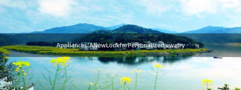新宝m2O5O5O：Appliances:ANewLookforPersonal