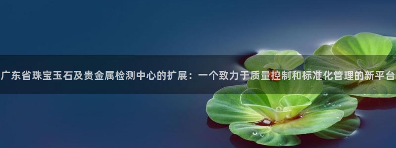 新宝5app手机下载：广东省珠宝玉石及贵金属检测中心的扩展：一个致力于质量控制和