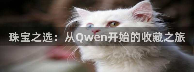 新宝5地址：珠宝之选：从Qwen开始的收藏之旅