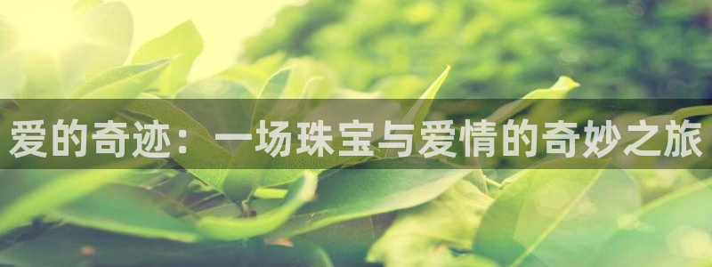 新宝5球维33 300：爱的奇迹：一场珠宝与爱情的奇妙之旅