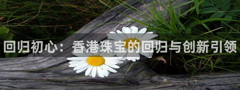 新宝骏rc5W：回归初心：香港珠宝的回归与创新引领