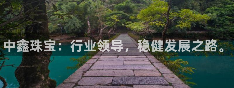 新宝5娱乐然：中鑫珠宝：行业领导，稳健发展之路。