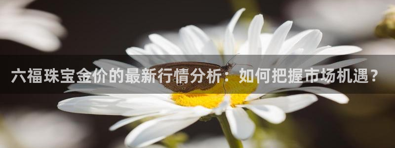 新宝5公司：六福珠宝金价的最新行情分析：如何把握市场机遇？