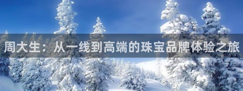 新宝5官网67五壹叁八：周大生：从一线到高端的珠宝品牌体验之旅