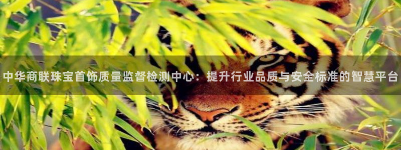 菲律宾新宝5老板：中华商联珠宝首饰质量监督检测中心：提升行业品质与安全标准的智慧