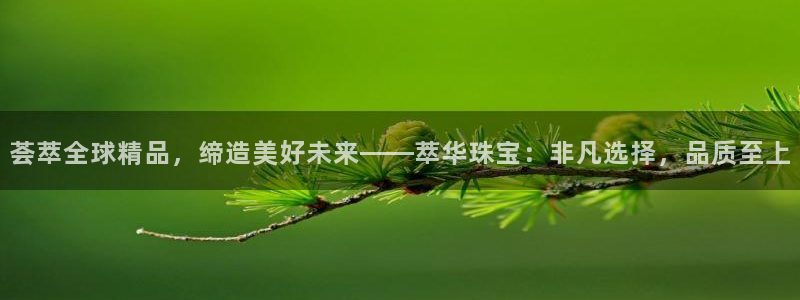 新宝股东王听2 5 5