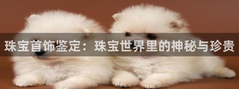 新宝5娱乐如：珠宝首饰鉴定：珠宝世界里的神秘与珍贵