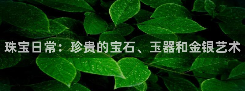 新宝堂新会陈皮5年