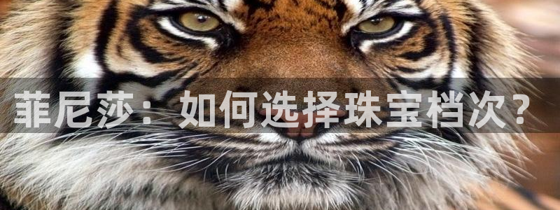 新宝5链接：菲尼莎：如何选择珠宝档次？