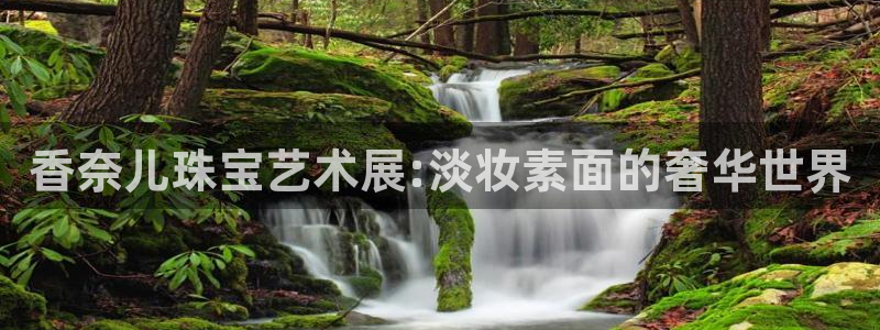 新宝5褚32OO59：香奈儿珠宝艺术展:淡妆素面的奢华世界