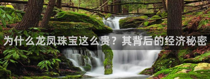 新宝5代理注册：为什么龙凤珠宝这么贵？其背后的经济秘密