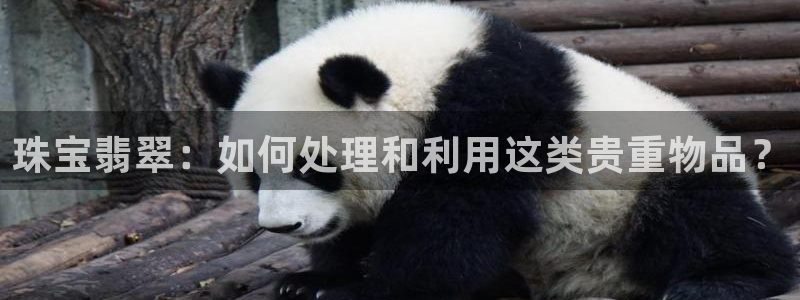 新宝5五：珠宝翡翠：如何处理和利用这类贵重物品？