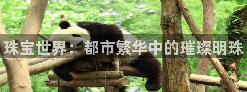 新宝5登陆地址：珠宝世界：都市繁华中的璀璨明珠