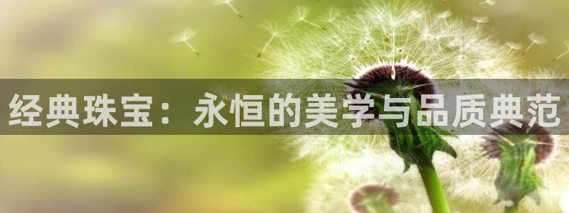 有人知道新宝5么：经典珠宝：永恒的美学与品质典范