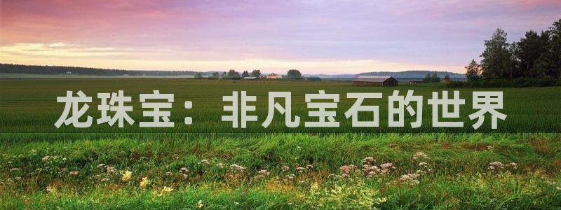 新宝速5：龙珠宝：非凡宝石的世界